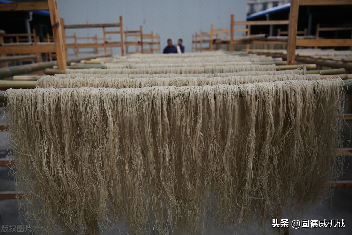 红薯粉条机多少钱一台？哪种工艺的粉条加工设备更适合大众使用？