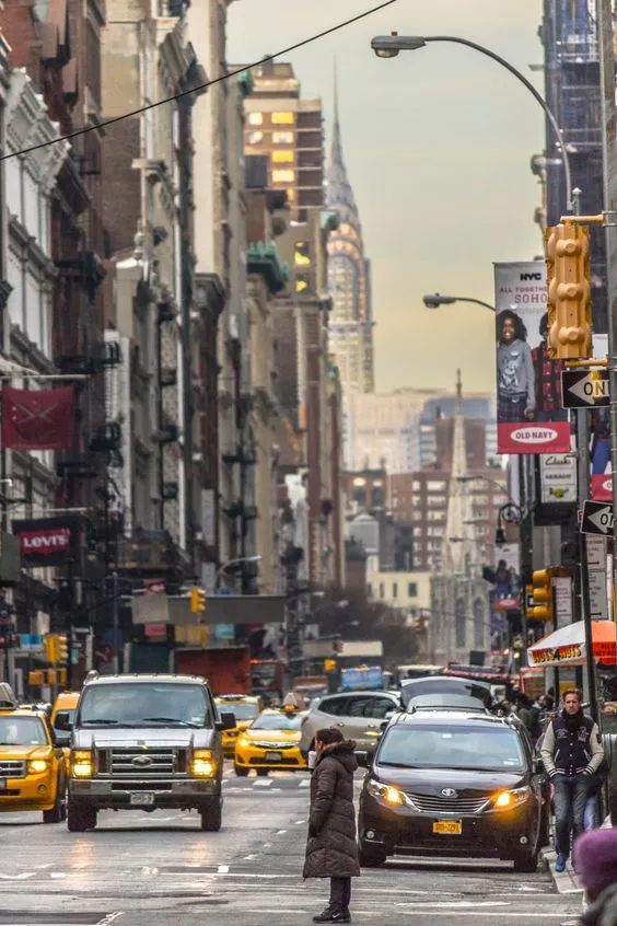 与熊同居28年神秘死亡，美国女人传奇的一生，隐藏着惊人结局