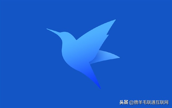 迅雷5.0,迅雷体验版