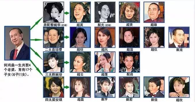 奚梦瑶生下赌王长孙吗,奚梦瑶生下赌王长孙有什么优势