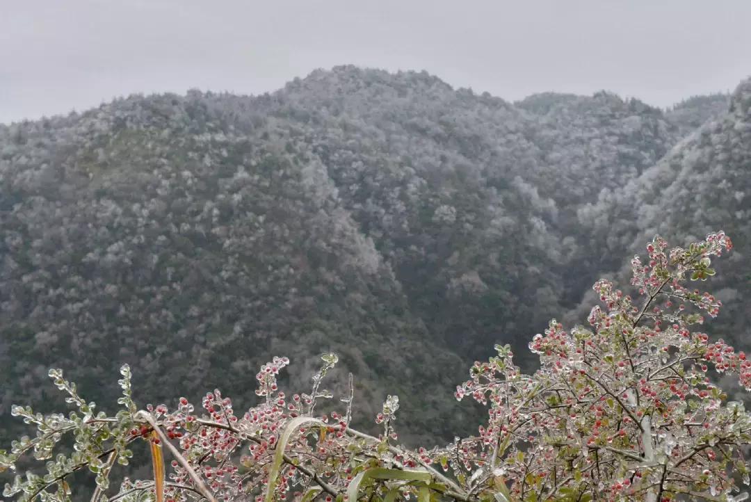贵阳云雾山云海,贵阳云雾山雾凇旅游攻略