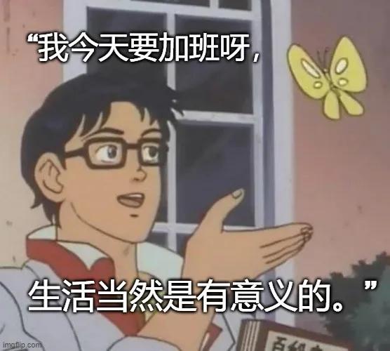糊弄学知乎,糊弄学的精髓是什么