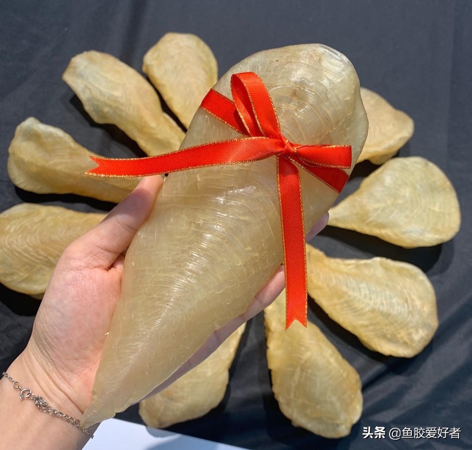 花胶要怎么选比较好,花胶如何挑选是好的