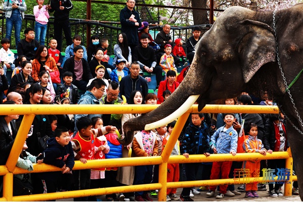 北京世界公园举办2019金秋国际旅游风情节!非洲鼓舞、花车巡游、魔术杂技、非遗打铁花,应有尽有!