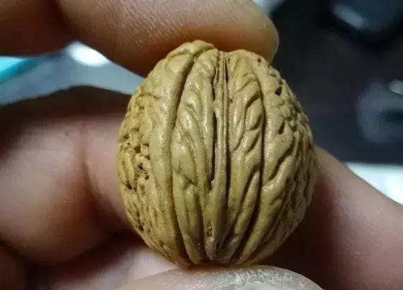 脑纹桃核手串的正确盘法,脑纹桃核怎么挑选