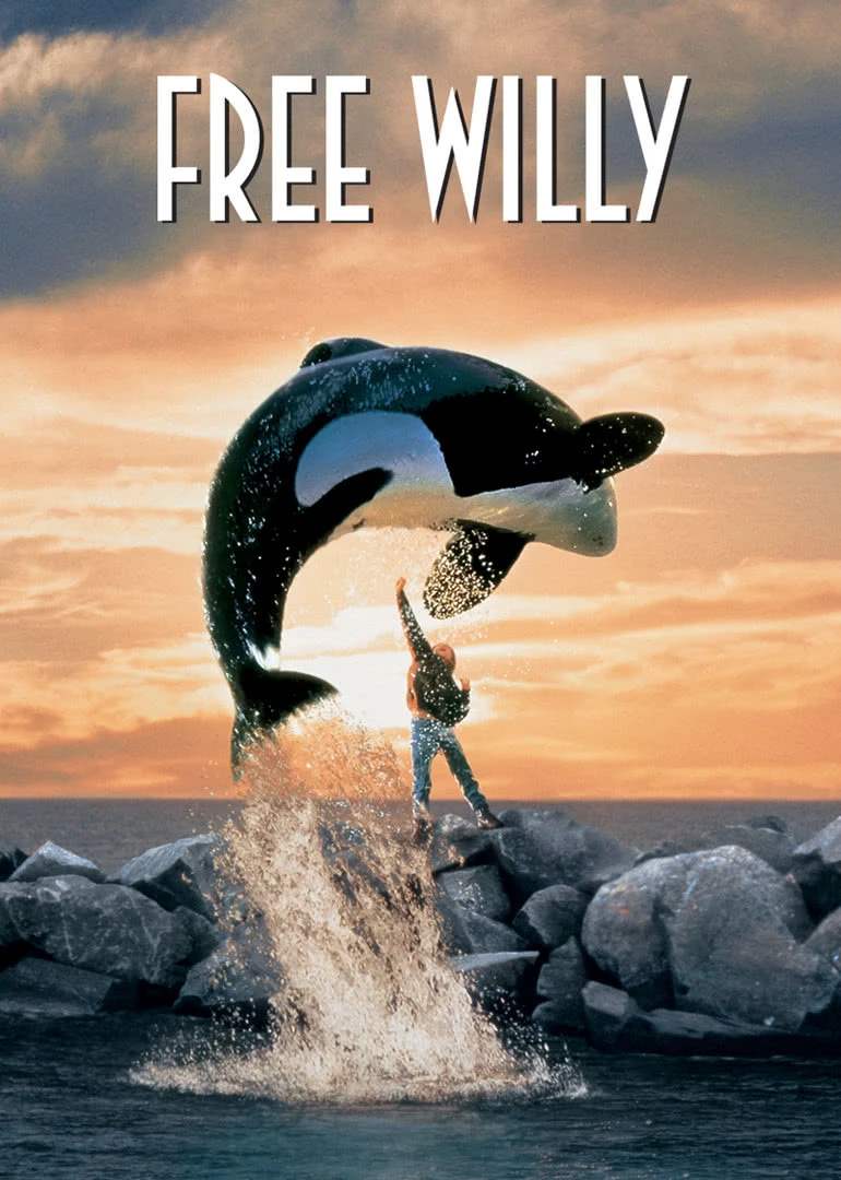 喜欢我就不要靠近我，5部野生动物的电影