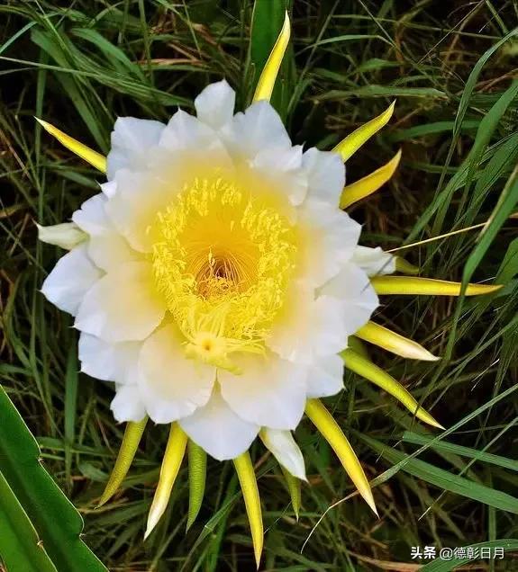 浅议孔子思想及其衍变,浅议轻谈