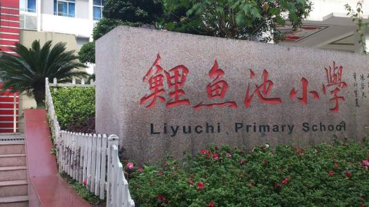 重庆小学最好的学校排行榜,重庆最好的私立小学学校排名