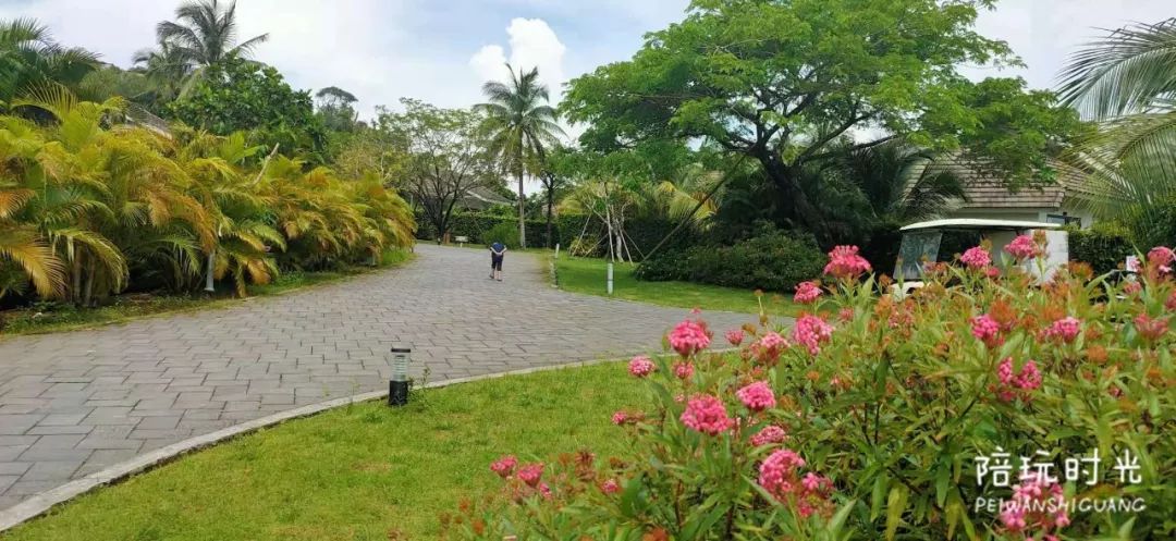 适合带娃旅游的海边酒店,哪个海岛酒店适合带娃