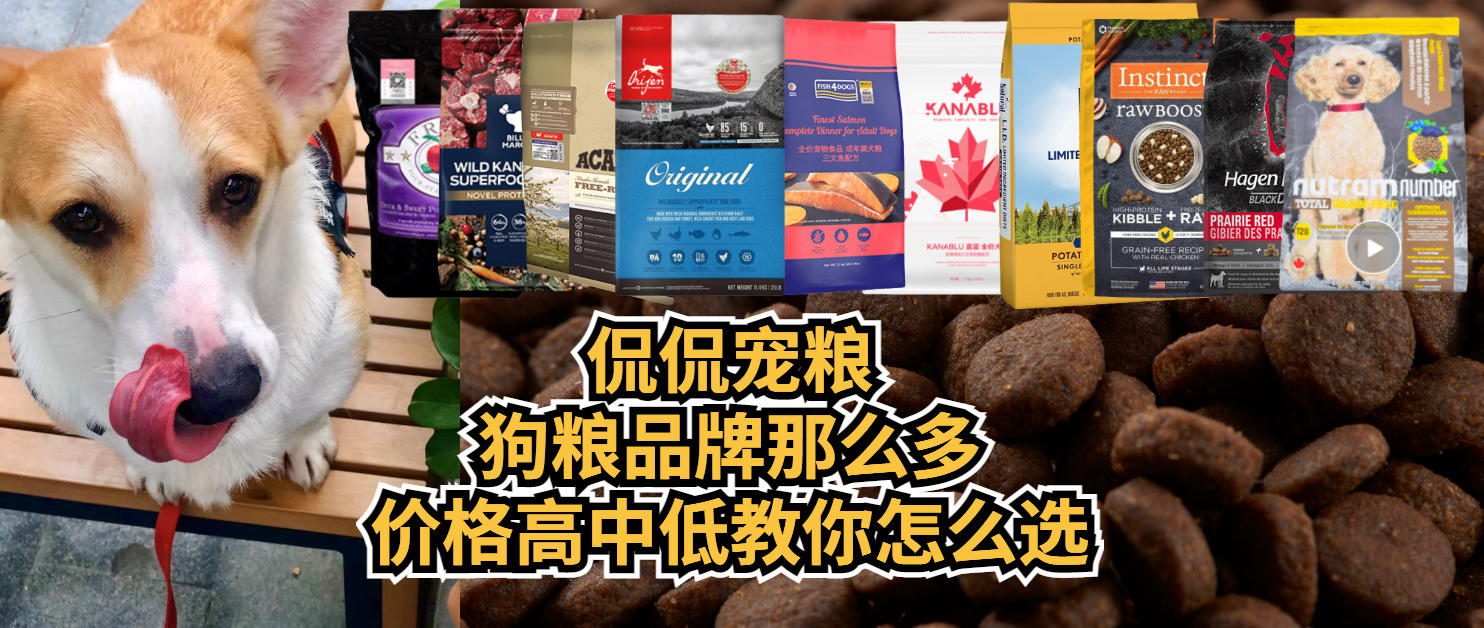 #侃侃宠粮#狗粮品牌那么多，价格高中低教你怎么选