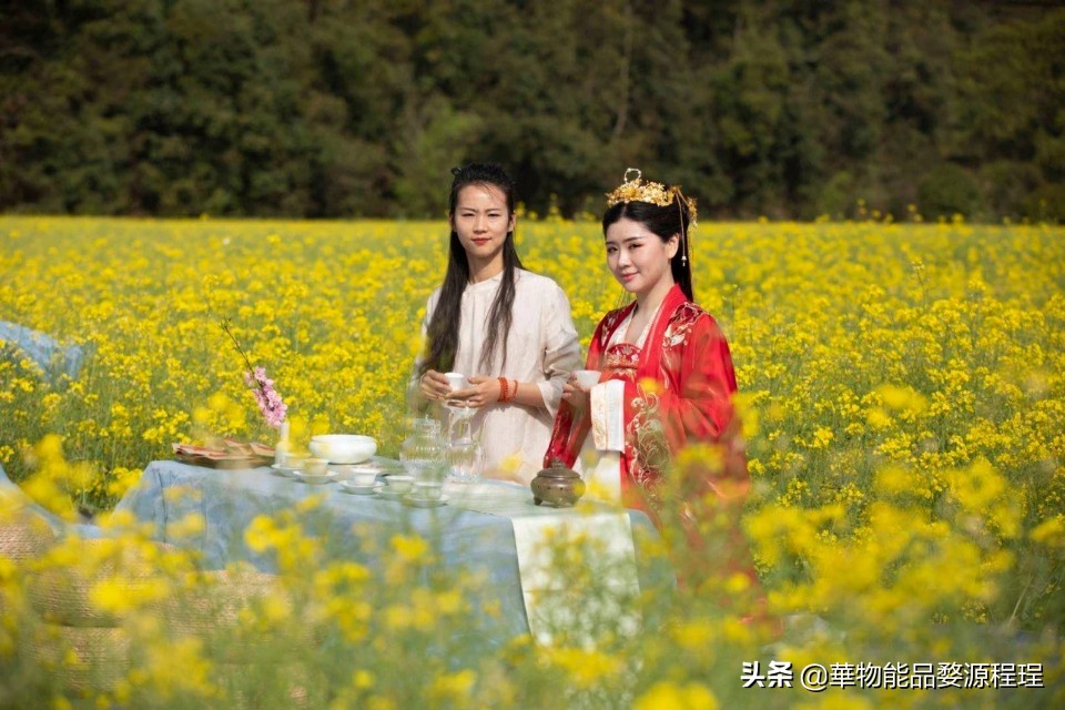 江西婺源油菜花音乐节,婺源油菜花文化节