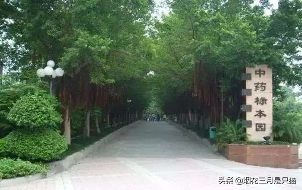 征集志愿广东专科有哪些学校,广东专科征集志愿学校