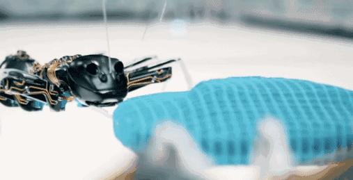 我国首创胶囊机器人，开辟新一代胃镜检查系统，为大国科技点赞