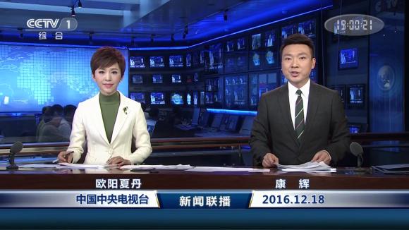 没想到,央视的名嘴们全都是猫奴