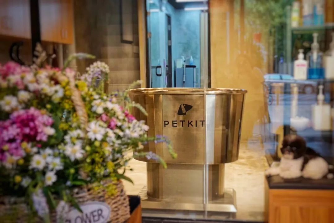 sfe上海国际连锁加盟展怎么购票,sfe上海国际加盟展在哪个馆