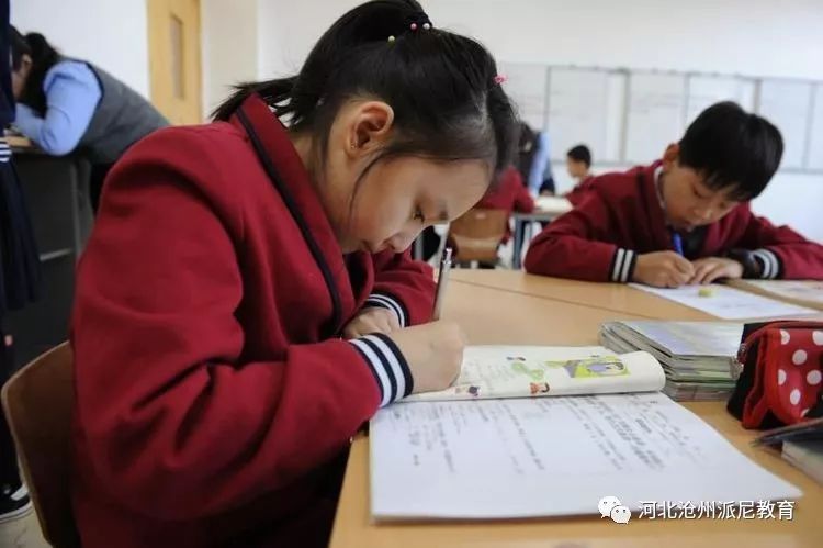 春风十里梦起航，听课评课促成长