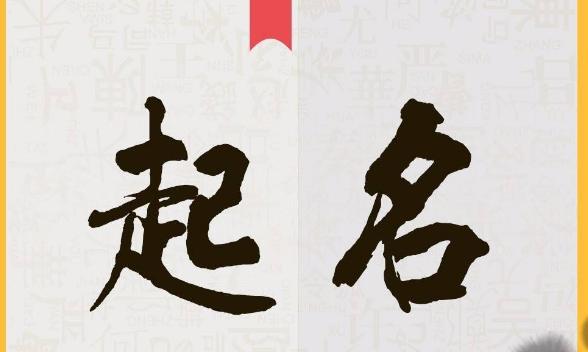 淘宝店铺名字能取吗怎么取好听,淘宝取店铺名字需要避开什么风险