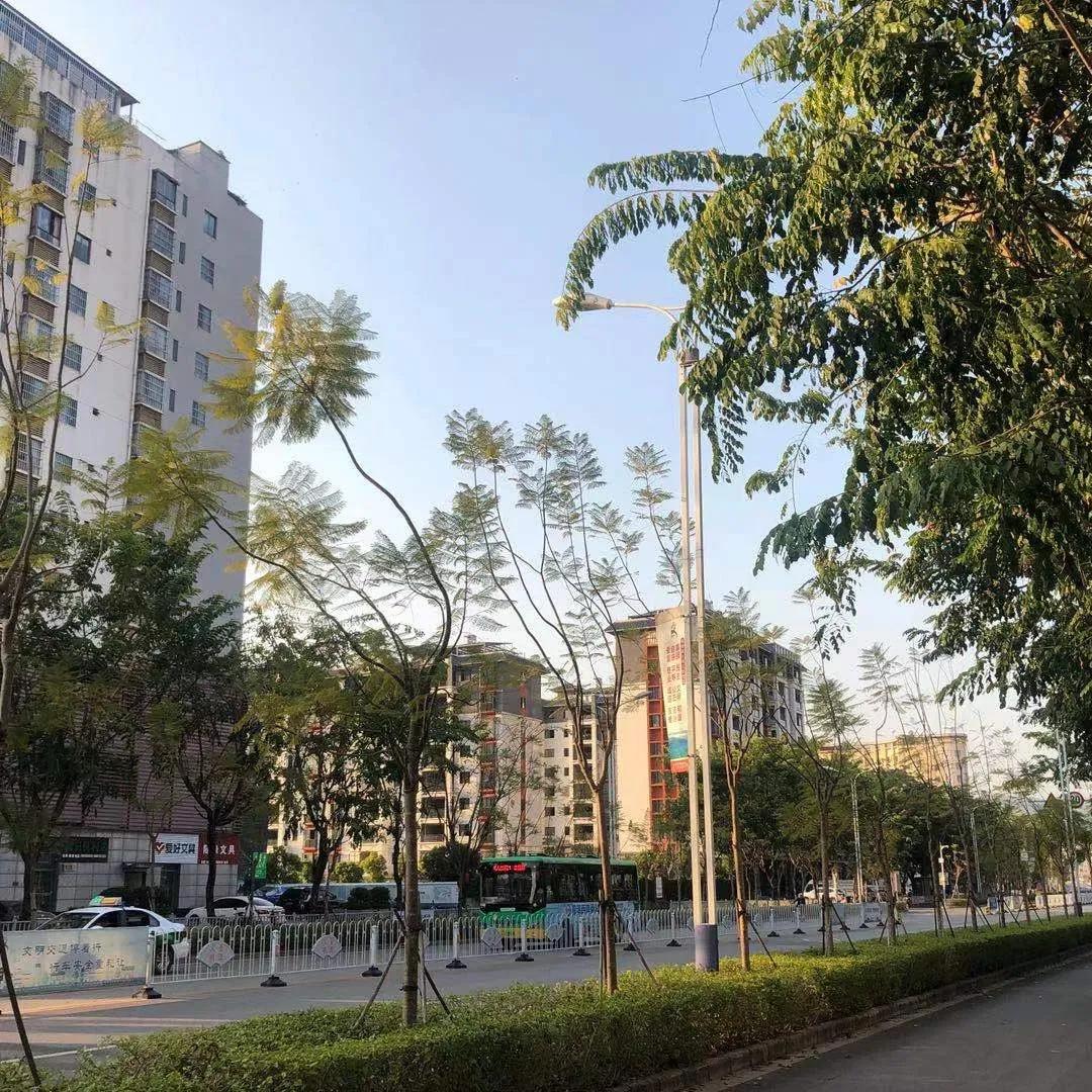 辞去年薪百万的工作回到农村,年轻人辞职去农村租房