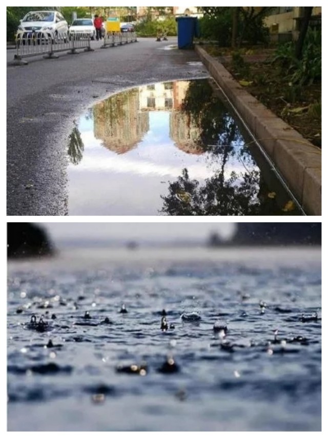散文夏天雨后的早晨,散文夏天的雨图片
