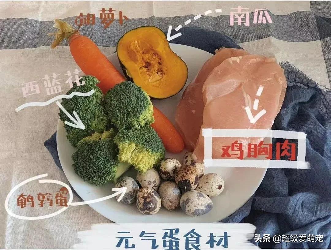 元旦快乐！今天一定要做给毛孩子吃的“元气蛋”教程来咯