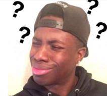 怀孕怎么科学养猫,孕期养狗技术大全