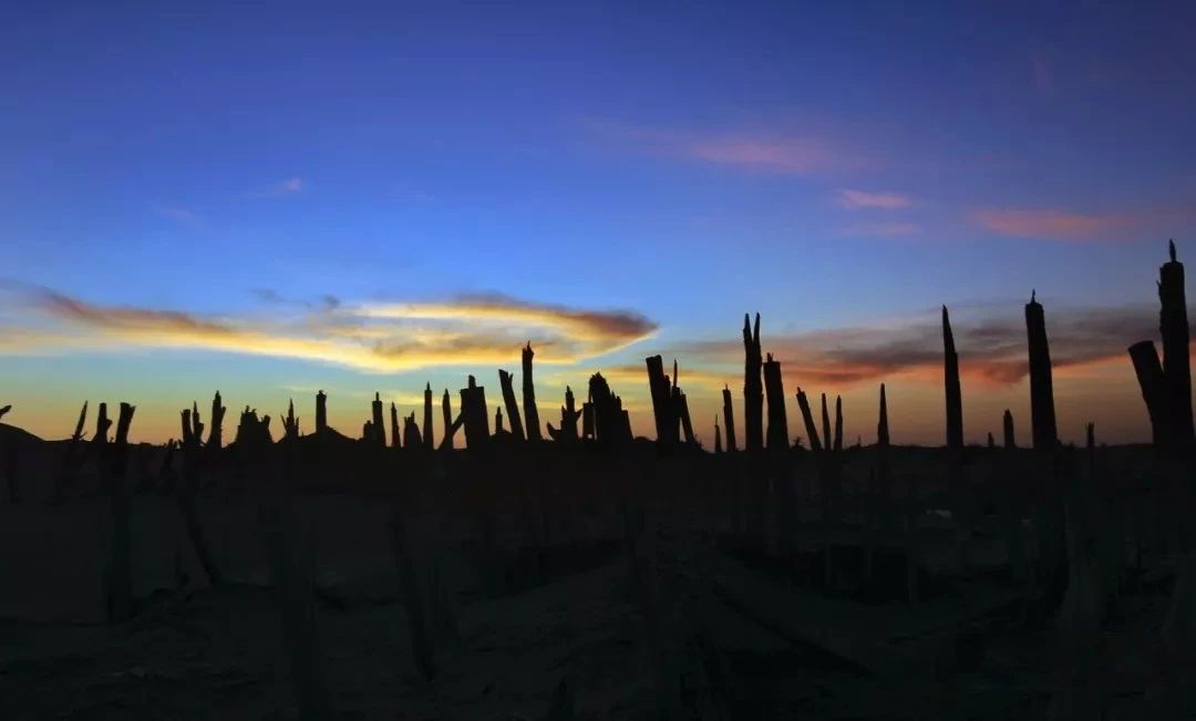 罗布泊无人区死亡之海以前的样子,新疆罗布泊死亡之海可以怎么去