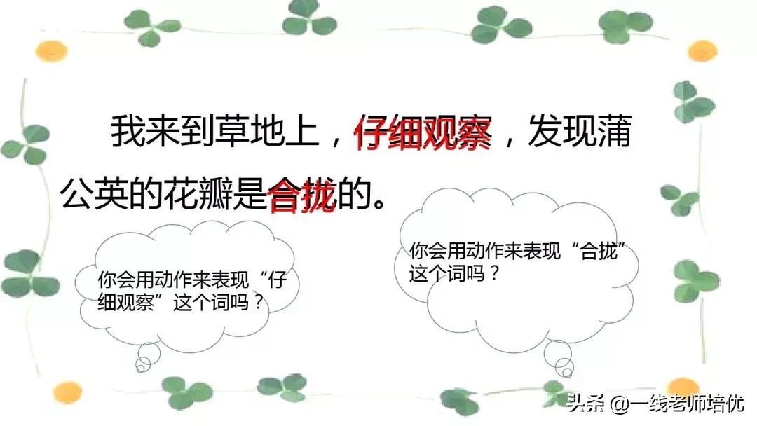 三年级语文金色的草地展现了什么,语文三年级上金色的草地课文讲解