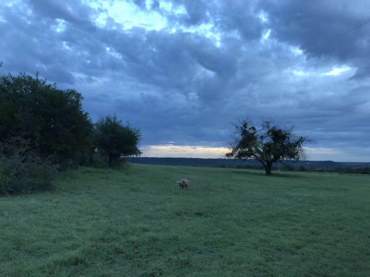 美国布朗大学中国留学生申请越来越多，去美国读布朗大学怎么样？
