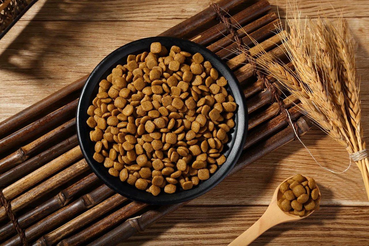 哪些品种的狗粮好用又便宜,新手养狗优质狗粮推荐