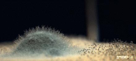 3倍洁净,3倍清洁效果