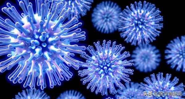 人类对于细菌病毒的认知,世间万物本就相辅相成