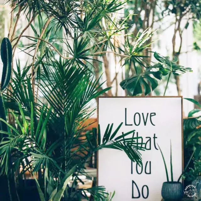 sasa，西西，设计师老王和三圣乡的“亲家DearHome”