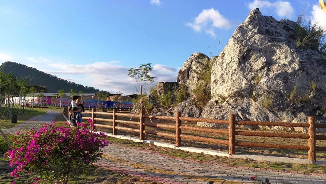 赏石艺、休闲游，这个体育公园都可以满足你！