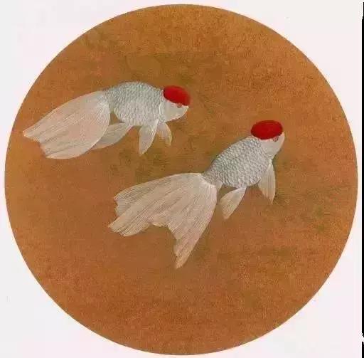 工笔金鱼团扇教学视频,工笔金鱼国画图片大全