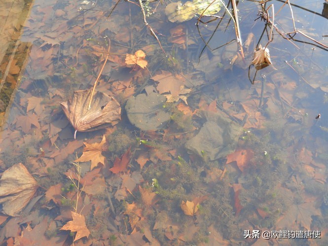 钓鱼不用绑的钓鱼钩怎么弄,钓鱼怎么让鱼钩悬浮半空中