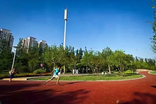 天津人都在这夜跑，连大明星都来打卡