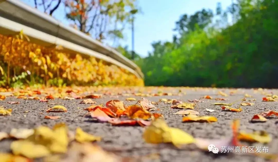 苏州室内足球场,苏州真山公园足球场