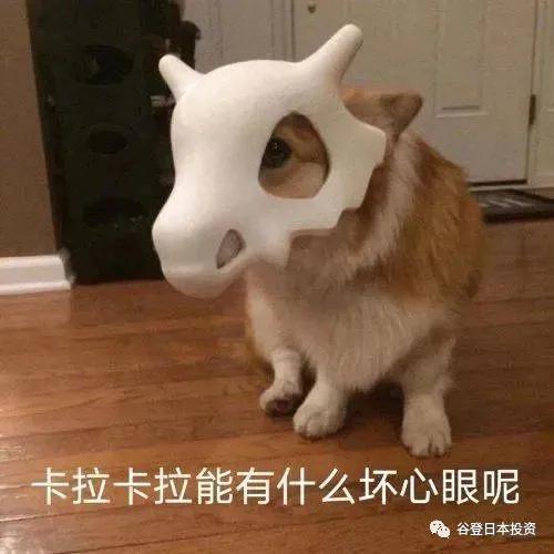 日语易写错的字,日语词容易得歧义