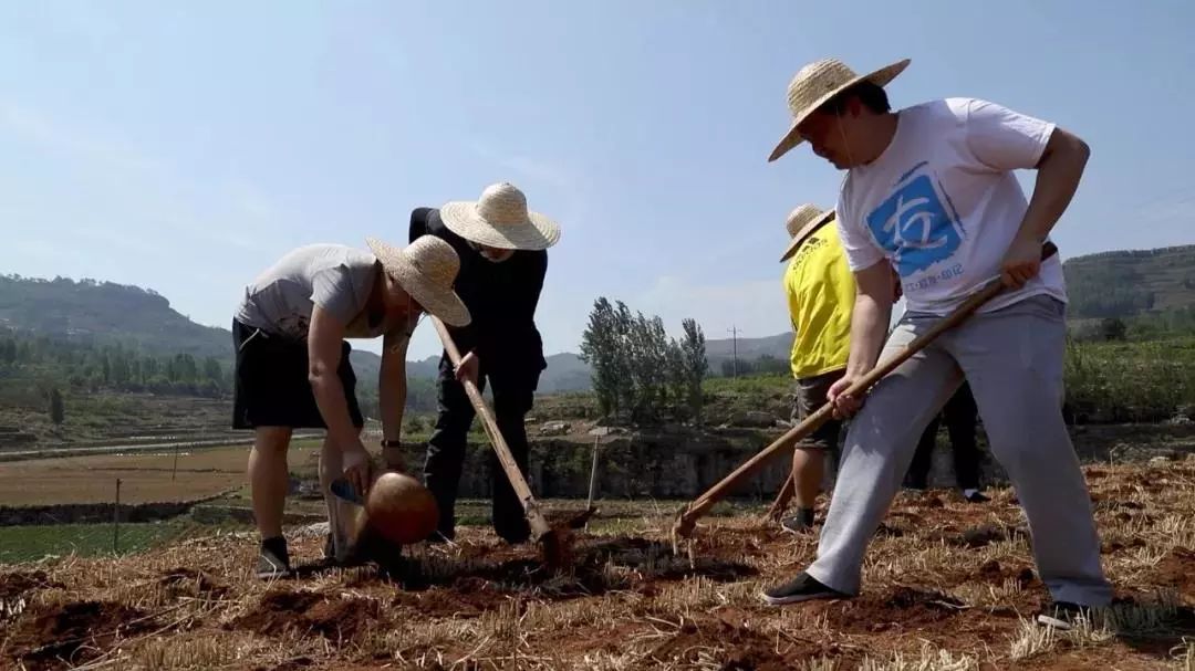 美菜分拣员招聘,美菜为什么一直招人