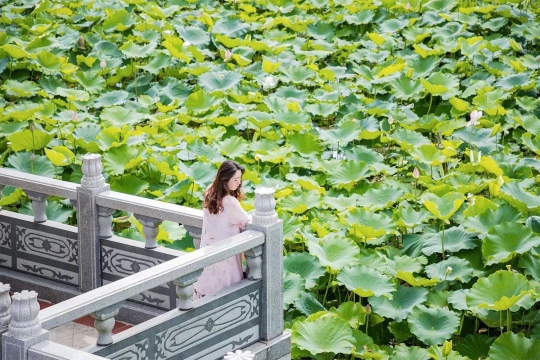 深圳最适合亲子游的好去处,深圳周末家庭游玩好去处