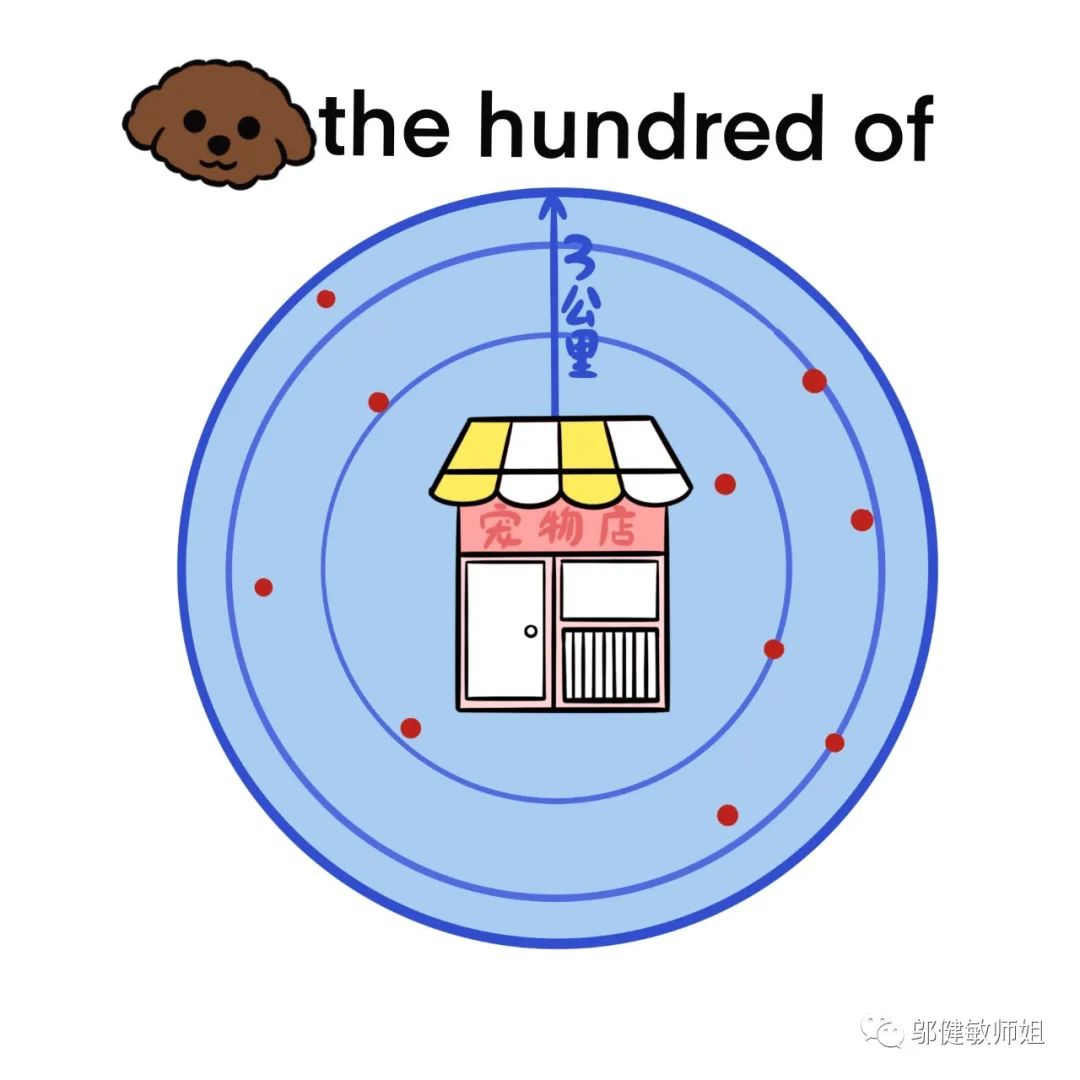 为什么现在开个宠物店那么难,宠物店不会告诉你的行业内幕