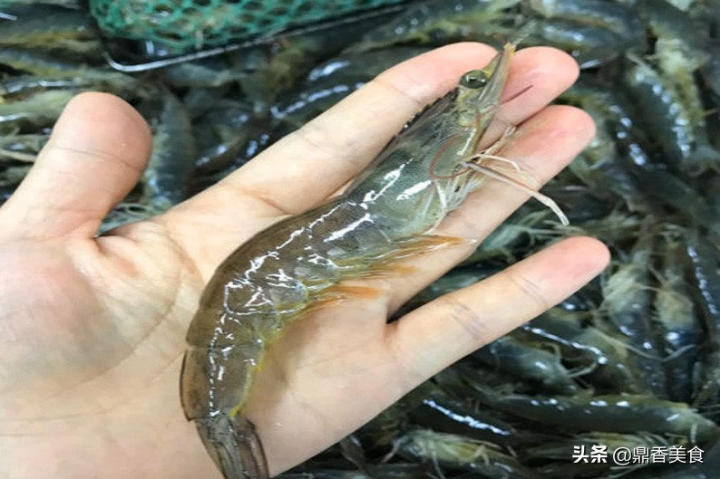 基围虾和皮皮虾有什么区别,皮皮虾和基围虾味道差多少