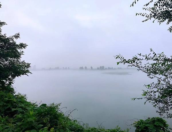 万岁军113师,抗美援朝74师打的什么战役