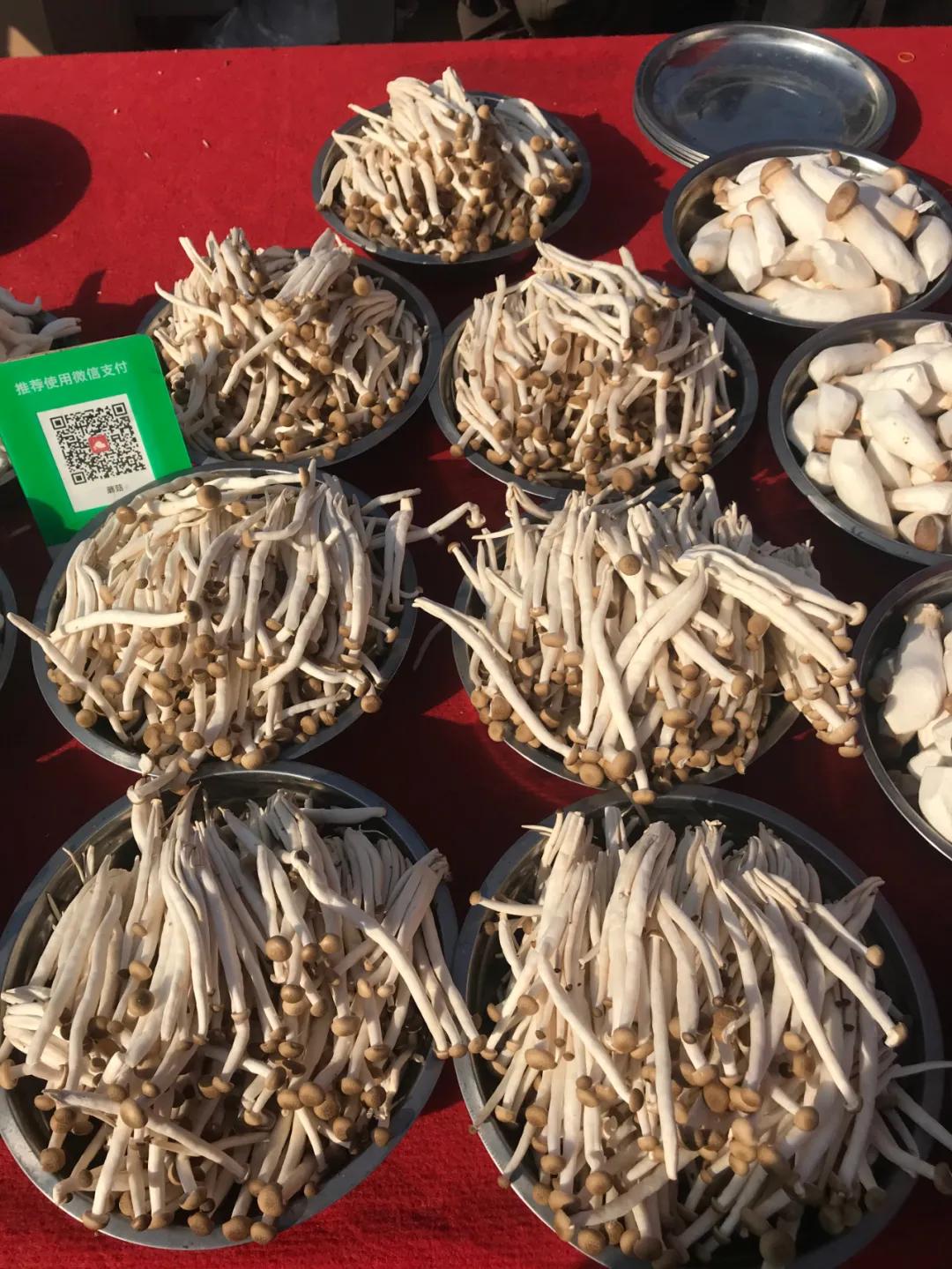 周边最便宜的大集在哪里,10元一两的大集