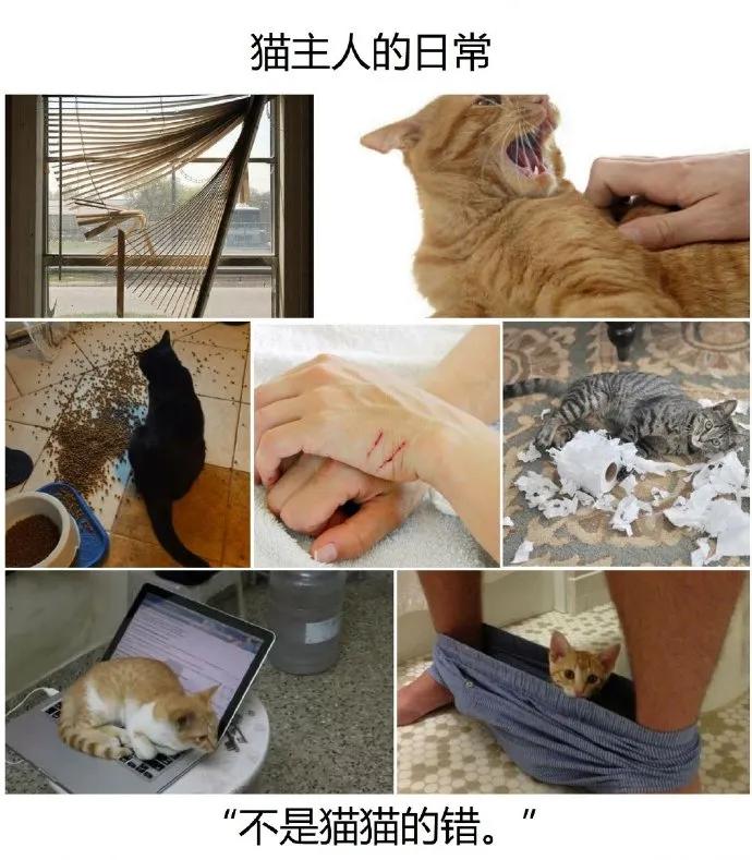 男朋友2个月给我花了5万,谈了三年男朋友送的礼物都是假的