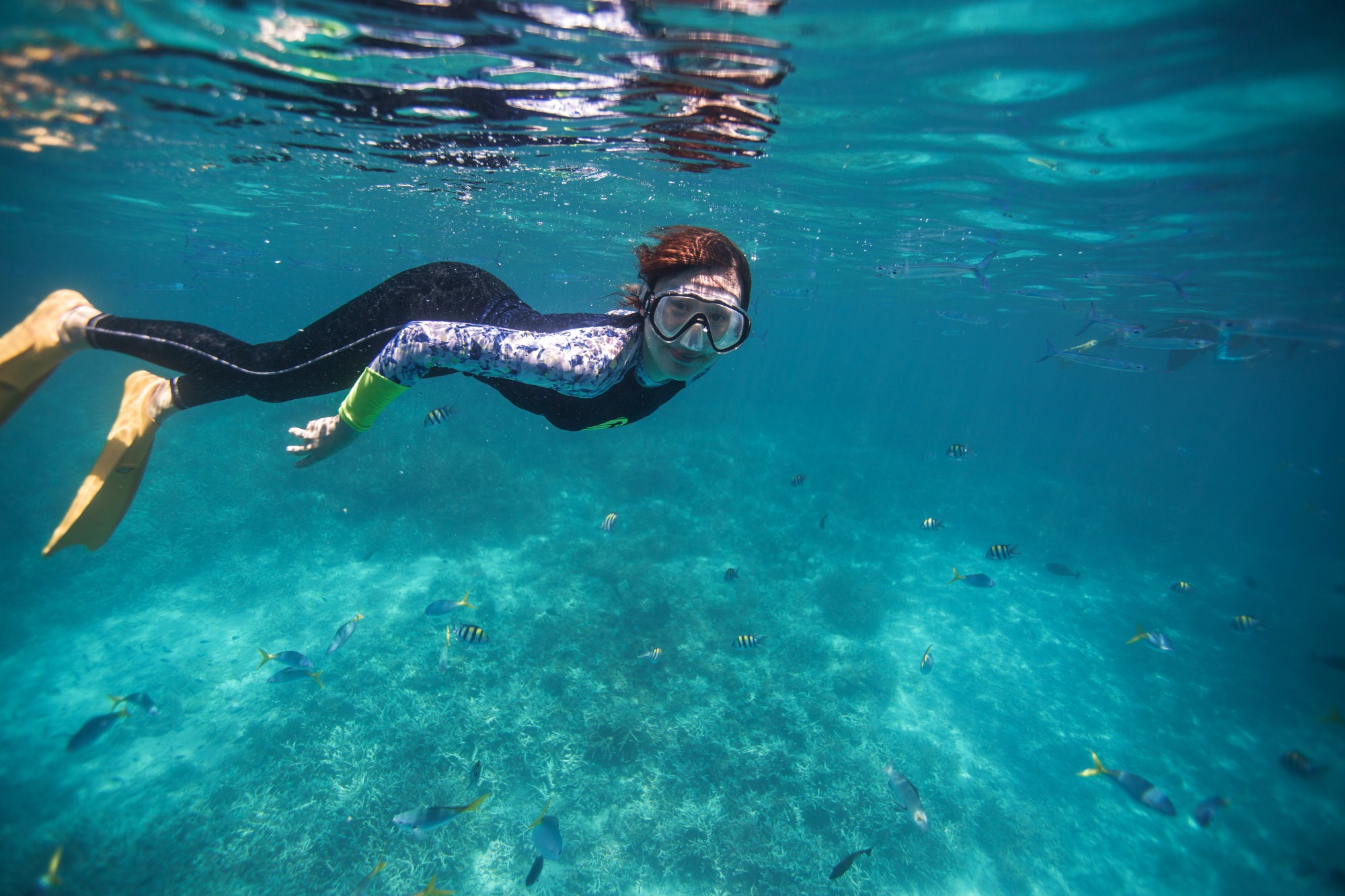 一定是特别的缘分——帕劳,再遇见「周若雪Patty」·上
