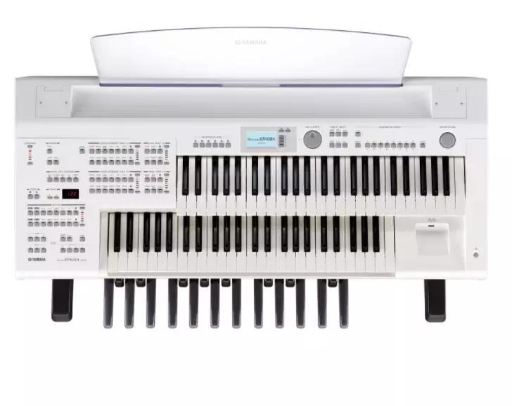 双排键电子琴难学吗,成年人学电子琴要多少键好