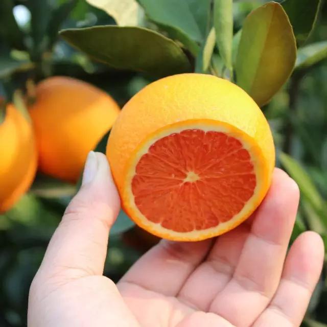 在宜昌的路上最美的风景,去感受大宜昌的美