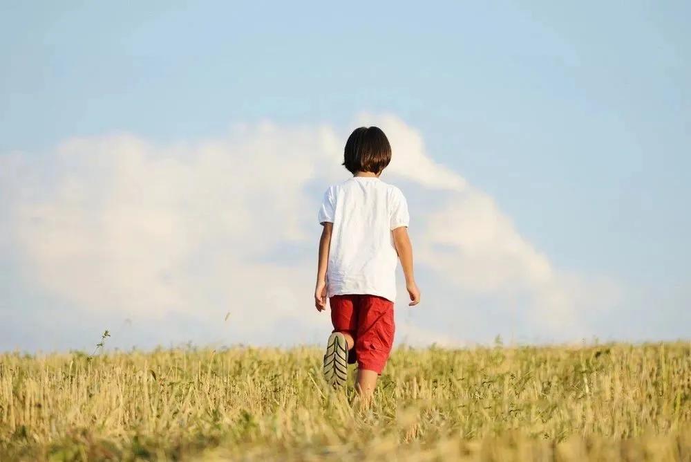 岷县辅导班,岷县初中补习