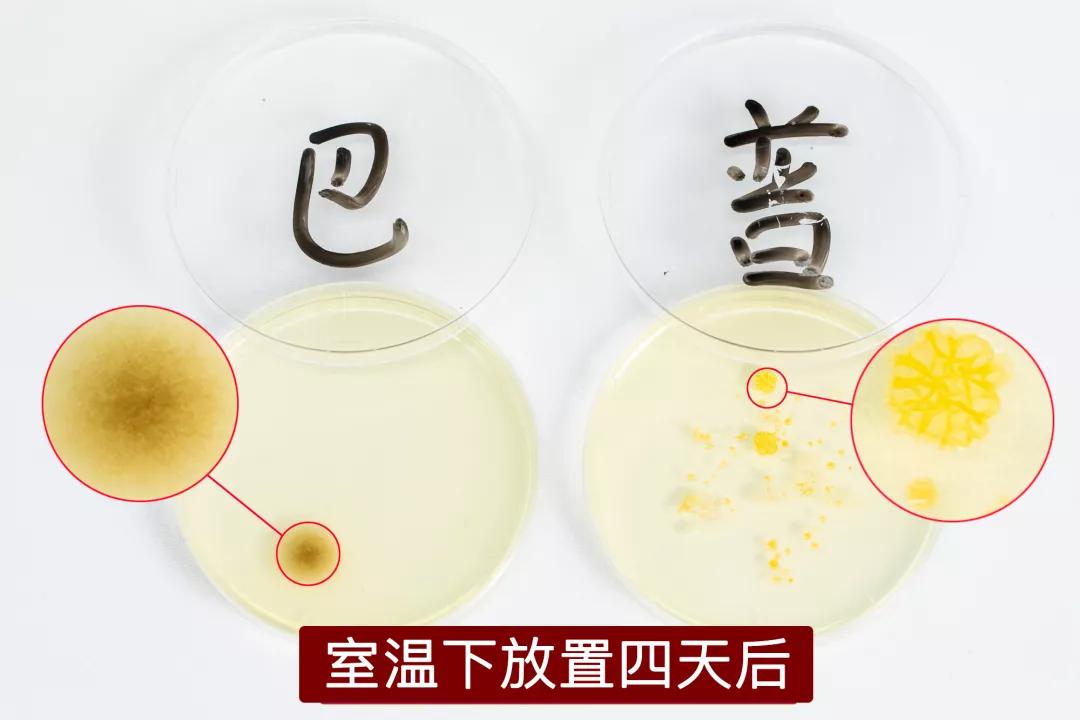 黑科技小型加湿器,奇特的加湿器